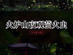 -火炉山森林公园