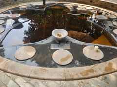 -碧水湾温泉