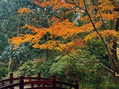 -中国茶叶博物馆(双峰馆区)