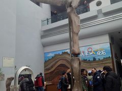 -自贡恐龙博物馆