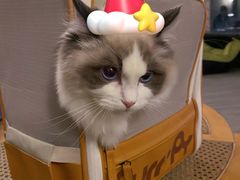 -Supine Bistro溯泮餐厅