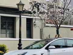 -TESLA 特斯拉(上海太古汇体验店)