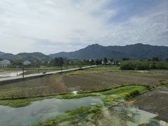 -黄牛肉馆·皖南土菜