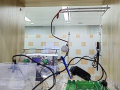 -艾克瑞特AI机器人·少儿编程·STEAM教育(万达校区)