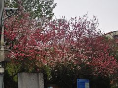 -竺桥兄弟烤鸭馆(竺桥店)