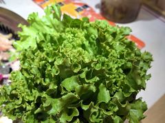 -杨记齐齐哈尔烤肉(总店)