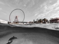 -三亚海昌梦幻海洋不夜城