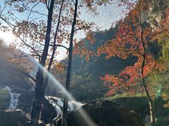 -刘伯温故里景区百丈漈