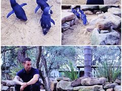 -费瑟代尔野生动物园