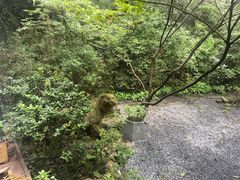 -宋宴(虎跑店)