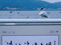-海埂大坝