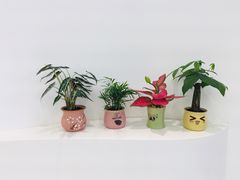 -艾薯夫妇Aysh(福田星河COCOPark店)