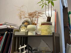 -缪斯琴行英皇小提琴.钢琴.吉他(张江店)