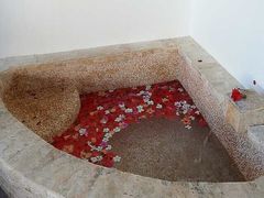 iphone_upload_pic-帝王SPA