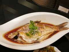 武昌鱼/清江边鱼-亢龙太子酒轩(东湖店)