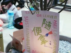 -大小咖啡 BigSmallCoffee(麦子店)