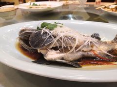 清蒸石斑鱼-龙泉海鲜酒楼(龙昆南路店)