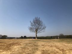 -钟山体育运动公园