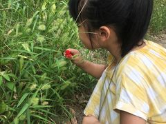 -长兴太湖图影湿地文化园