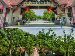 -上海海湾国家森林公园