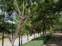 -怡海公园(桂城街道)