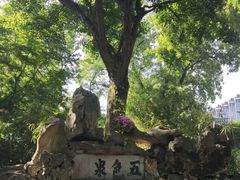 -上海醉白池公园