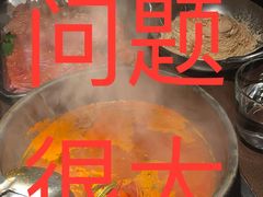 -毛辣果·酸(OHA复兴西路店)