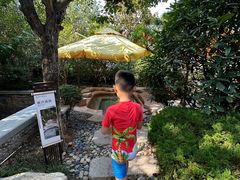 -西安华清御汤酒店