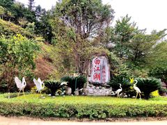 -广州白江湖森林公园