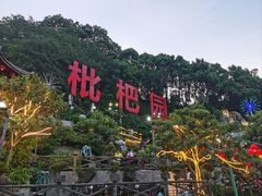 -枇杷园食为鲜火锅(南山店)