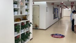 -成都西区医院整形美容