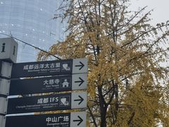 -和幸(春熙路群光广场店)