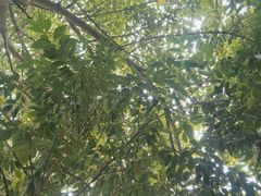 -磁课·成人英语·雅思培训(高新校区)