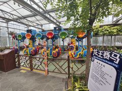 -南宫五洲植物乐园