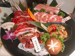 -猫爪爪原切自助烤肉(观音桥阳光世纪店)