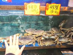 -小贝壳酒楼(经九路店)
