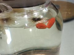 -陈家老院子(高新店)