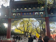 -北京国子监胡同