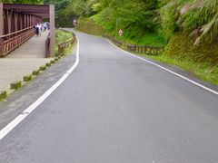 -阿里山神木遗迹