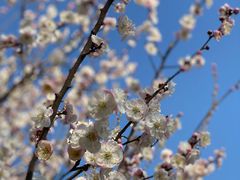-钟山体育运动公园