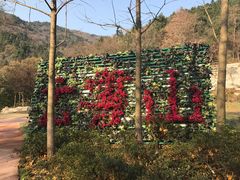 -木兰云雾山