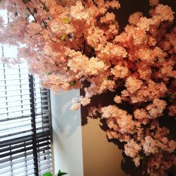 -Adore nail日式美甲美睫