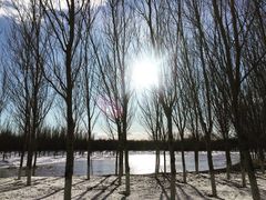 -东郊湿地公园