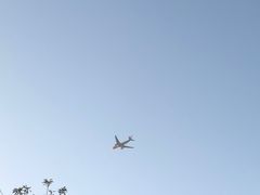 -深圳湾公园(南山区)