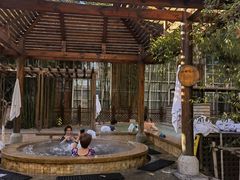 -春晖园度假酒店温泉