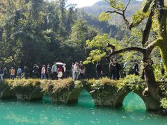 -长寿村