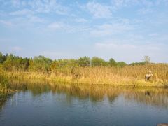 -溱湖国家湿地公园