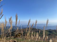 -东白山