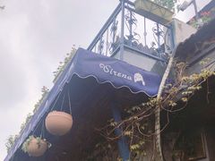 -Sirena海妖日咖夜酒