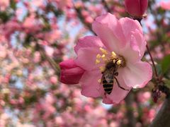 -杭州城北体育公园